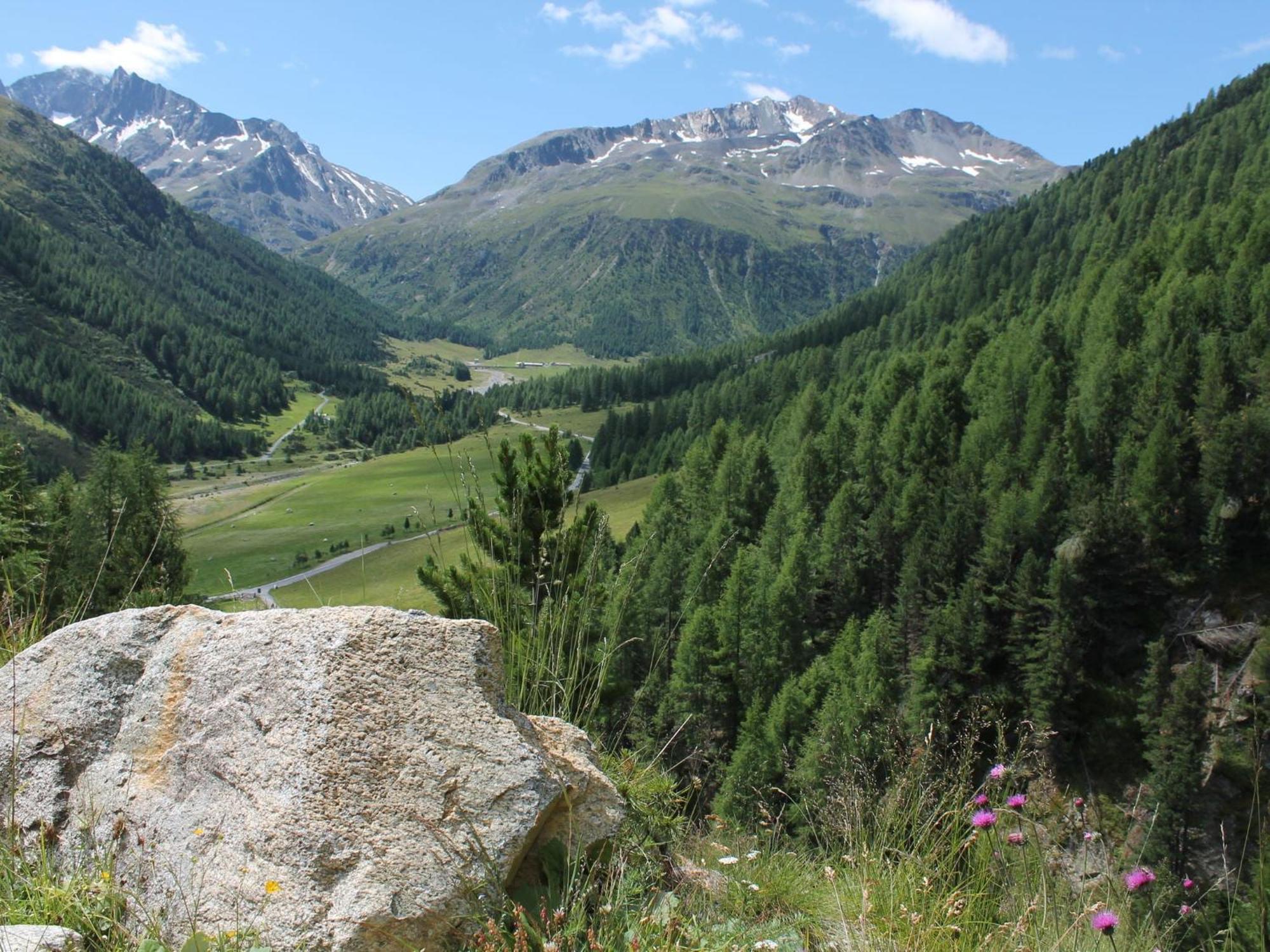 Large In Ferienhaus Livigno